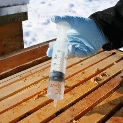 Serumwerk Oxalsäure 3,5% 2x500ml zur Winterbehandlung der Bienen als tröpfelbehandlung